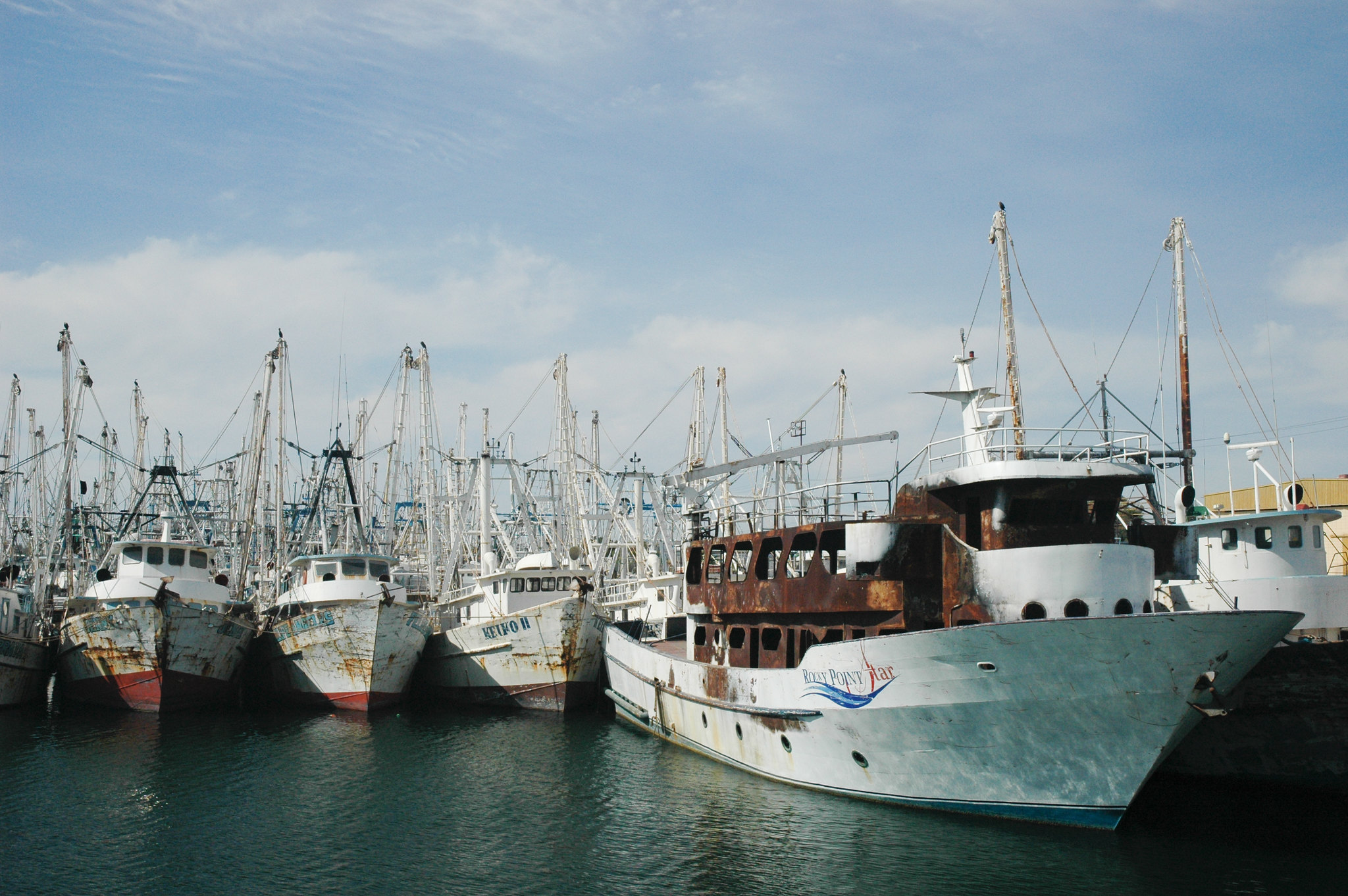 Fishing boats near Puesto Peñasco, Mexico